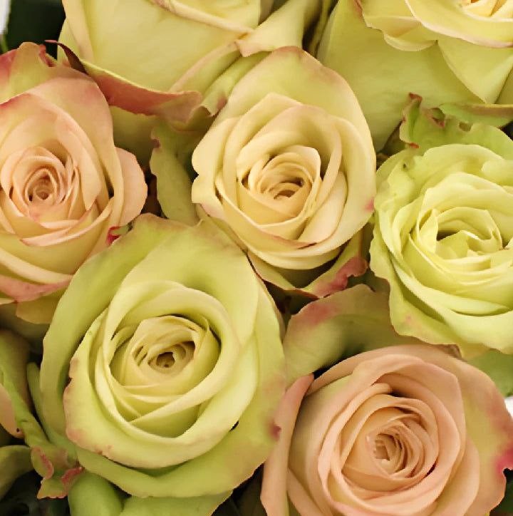 Грін Фешн (Green Fashion)