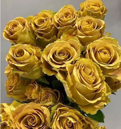 Харт оф Голд (Heart of Gold)