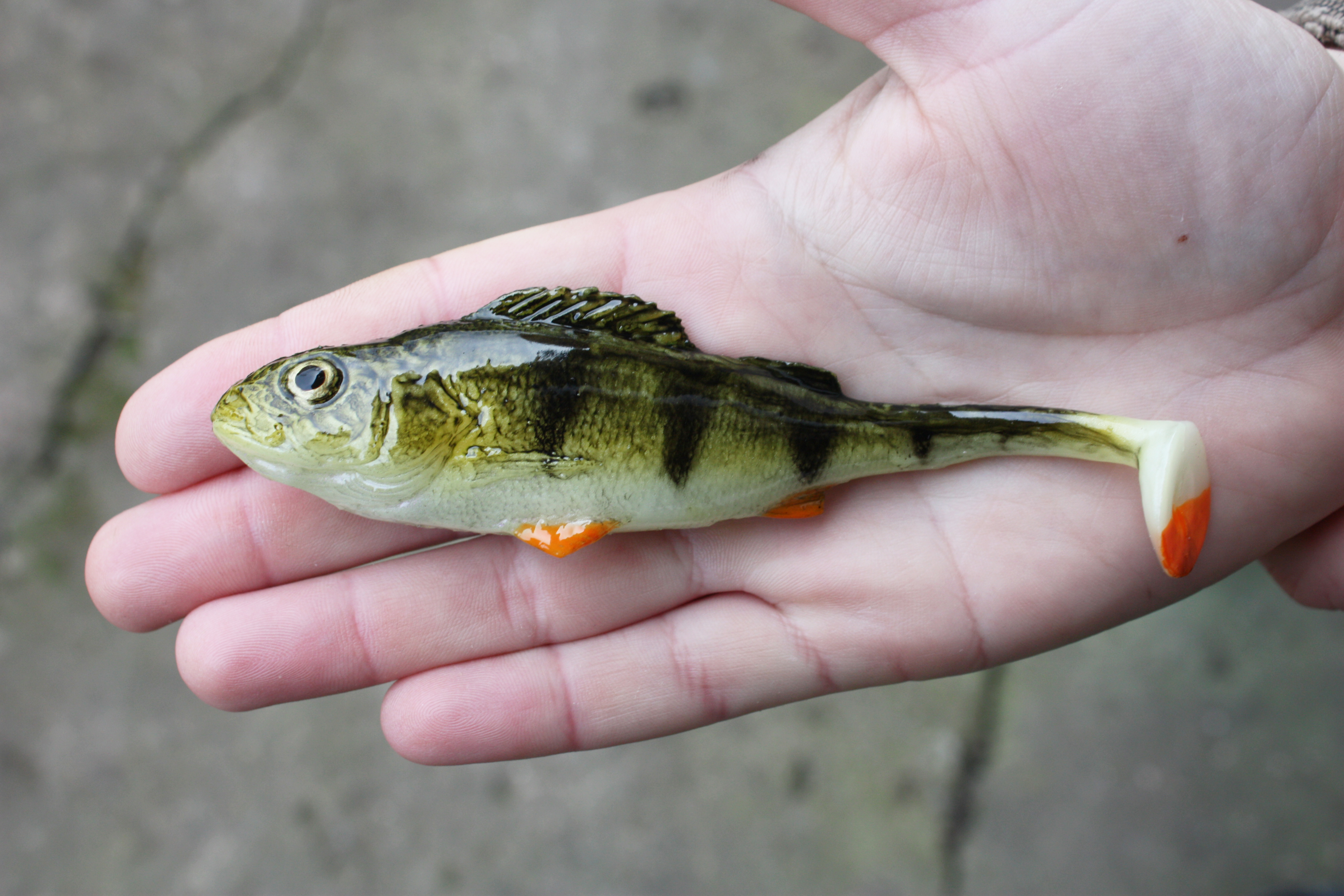 A&S Aggressive Perch 5" (130мм)
