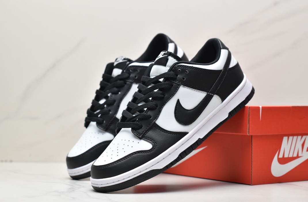 Nike SB Zoom Dunk Low DD1391-100