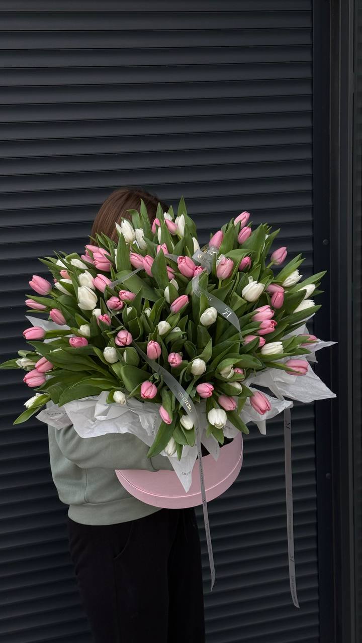 151 тюльпан у коробці