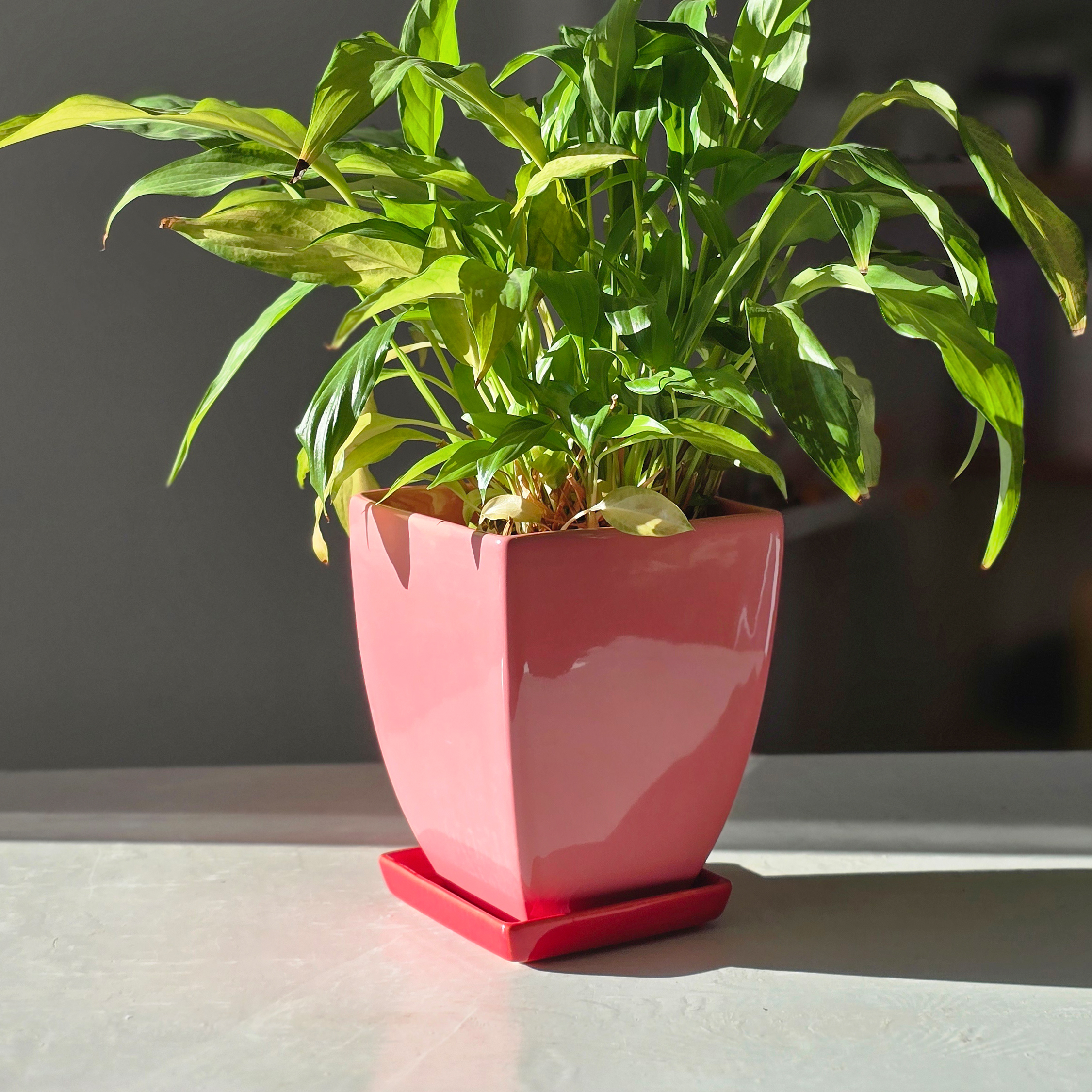 Горщик керамічний Конус чотирикутний 2,3 л Кораловий p092