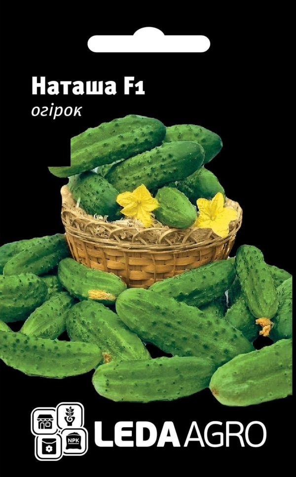 Наташа F1, 50 шт (ЛАН)