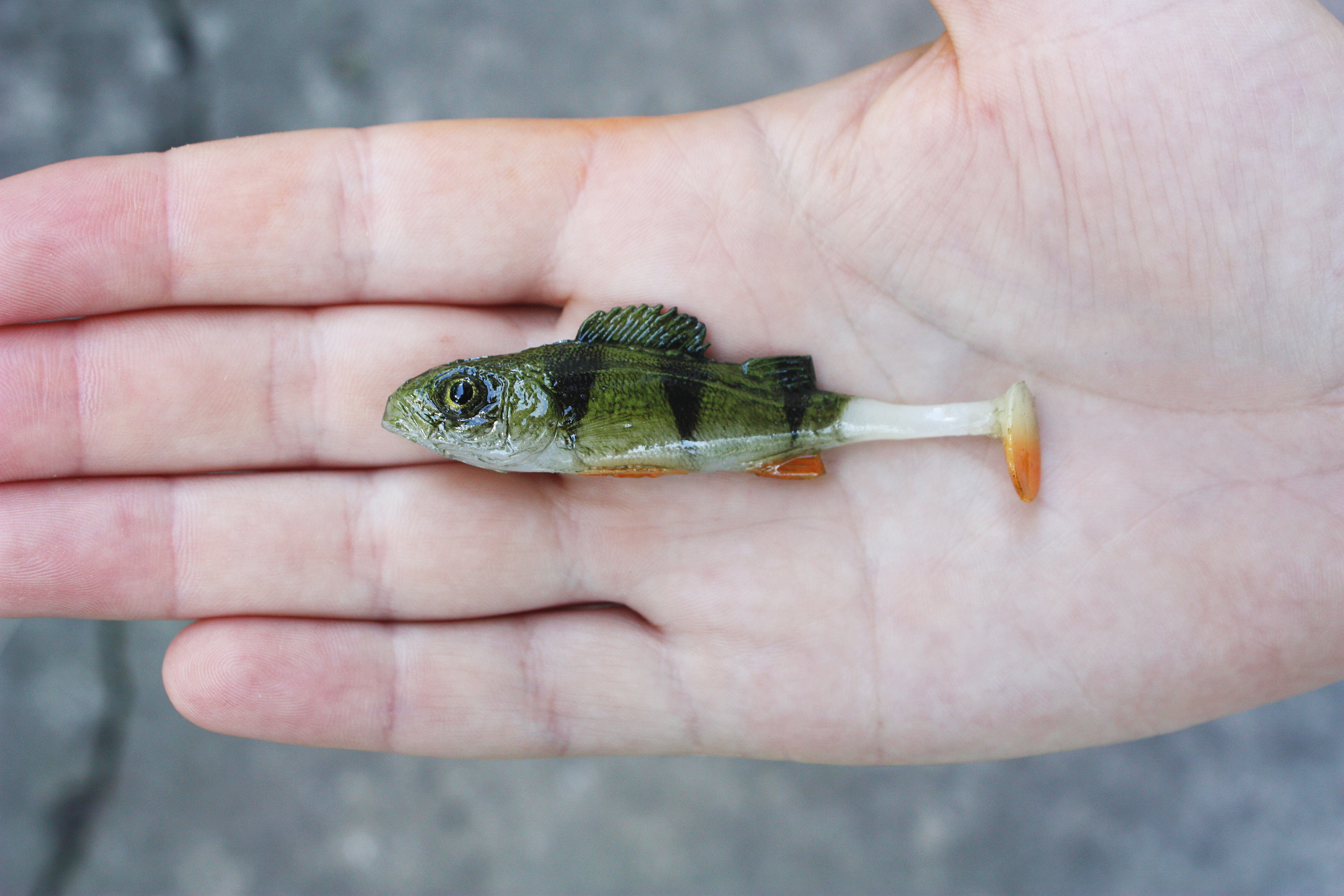 A&S Baby Perch 3