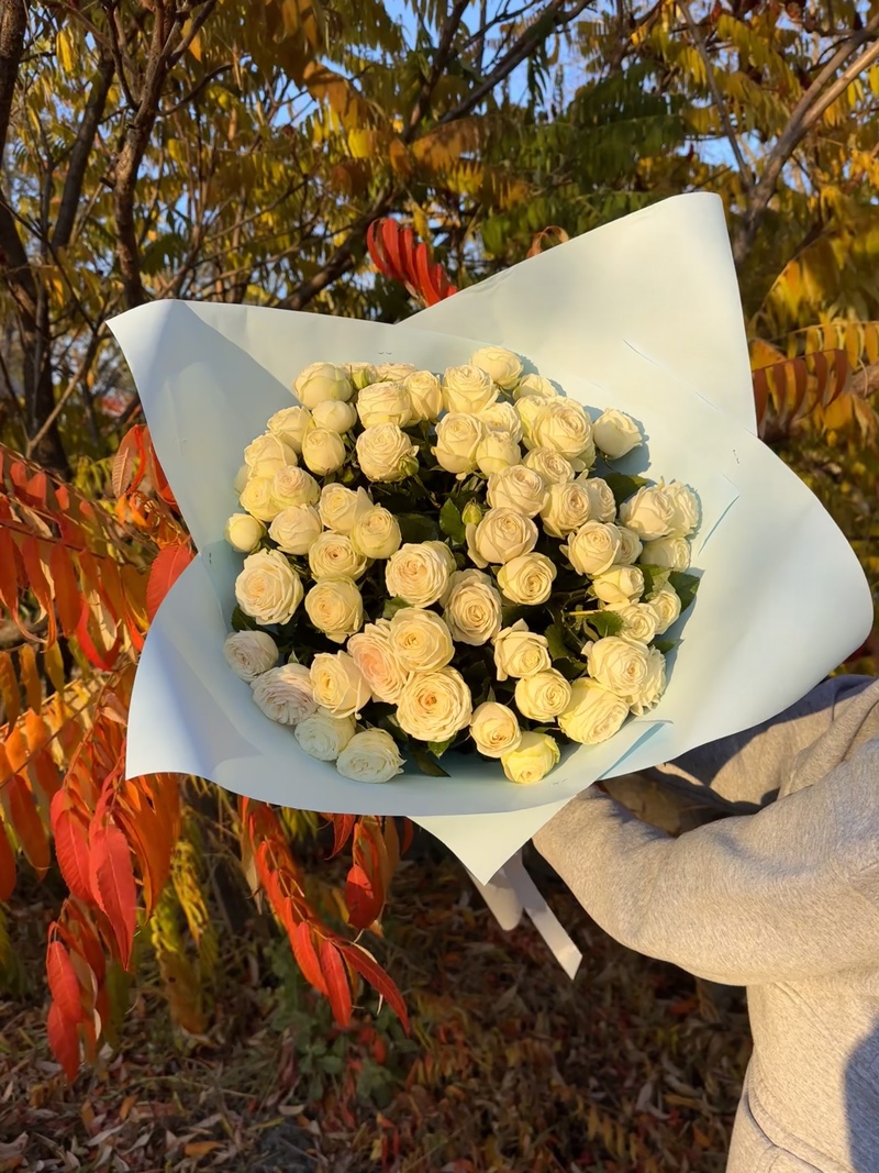 41 гілкова піоновидна троянда "Сноу Ворд"