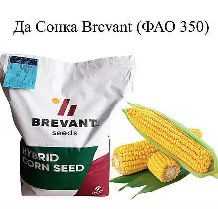 Насіння кукурудзи Да Сонка Бревант ФАО 350 Кукурудза високої врожайності
