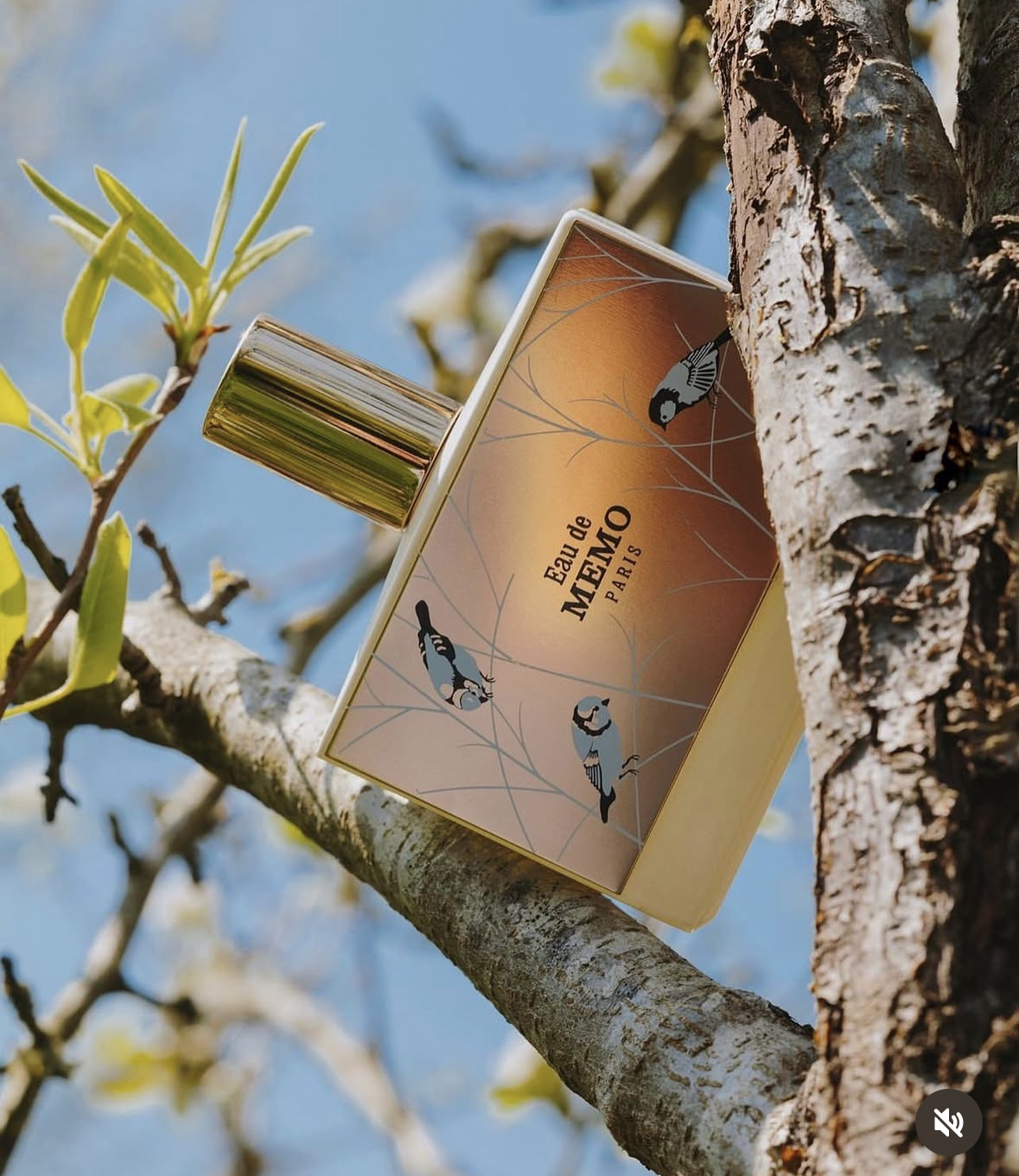Eau de Memo