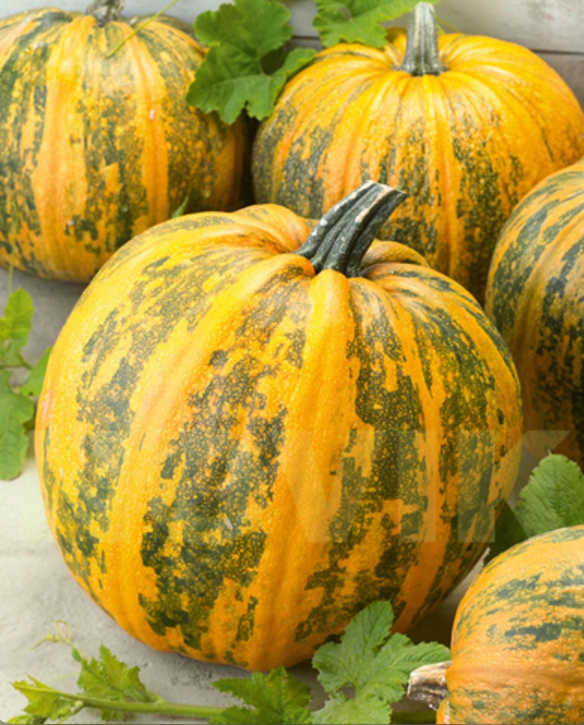 Гарбуз Український багатоплідний 15 г UA (АМ)