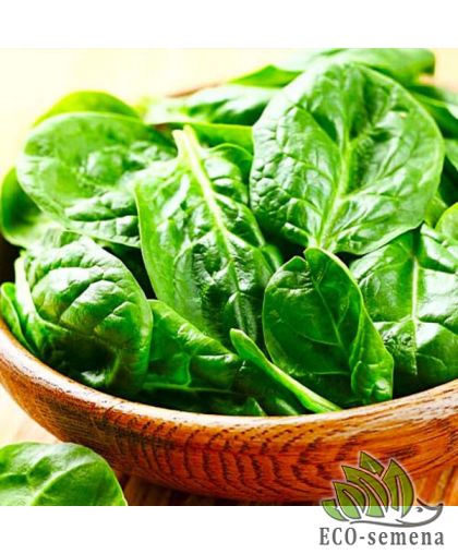Шпінат БЛУМСДЕЙЛ    SEEDERA 10 г