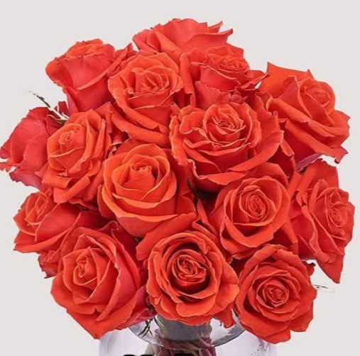 Кайен (Cayenne)