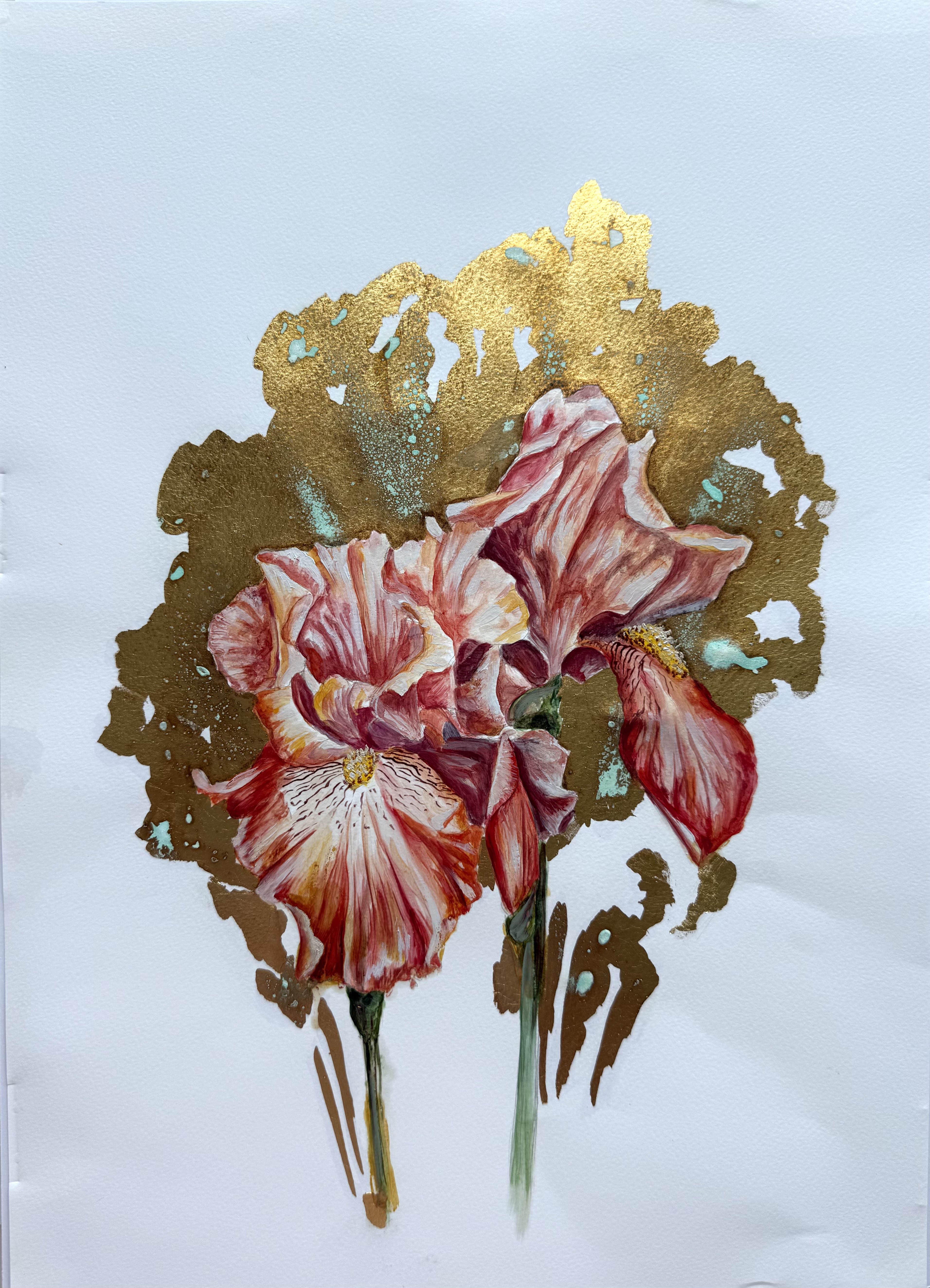 Iris II