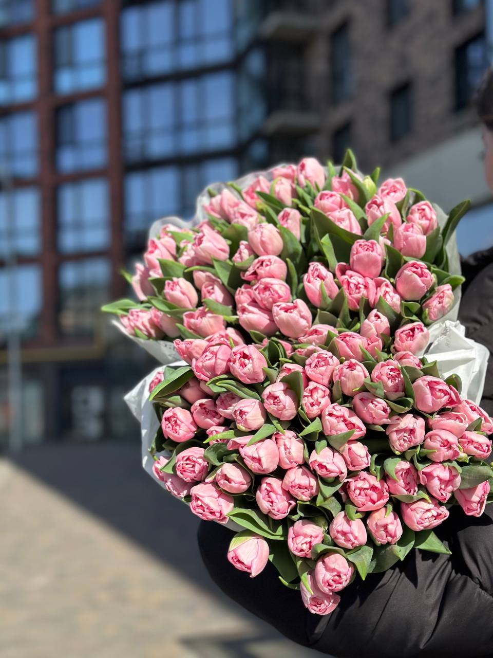 Тюльпан ніжно-рожевий піоновидний