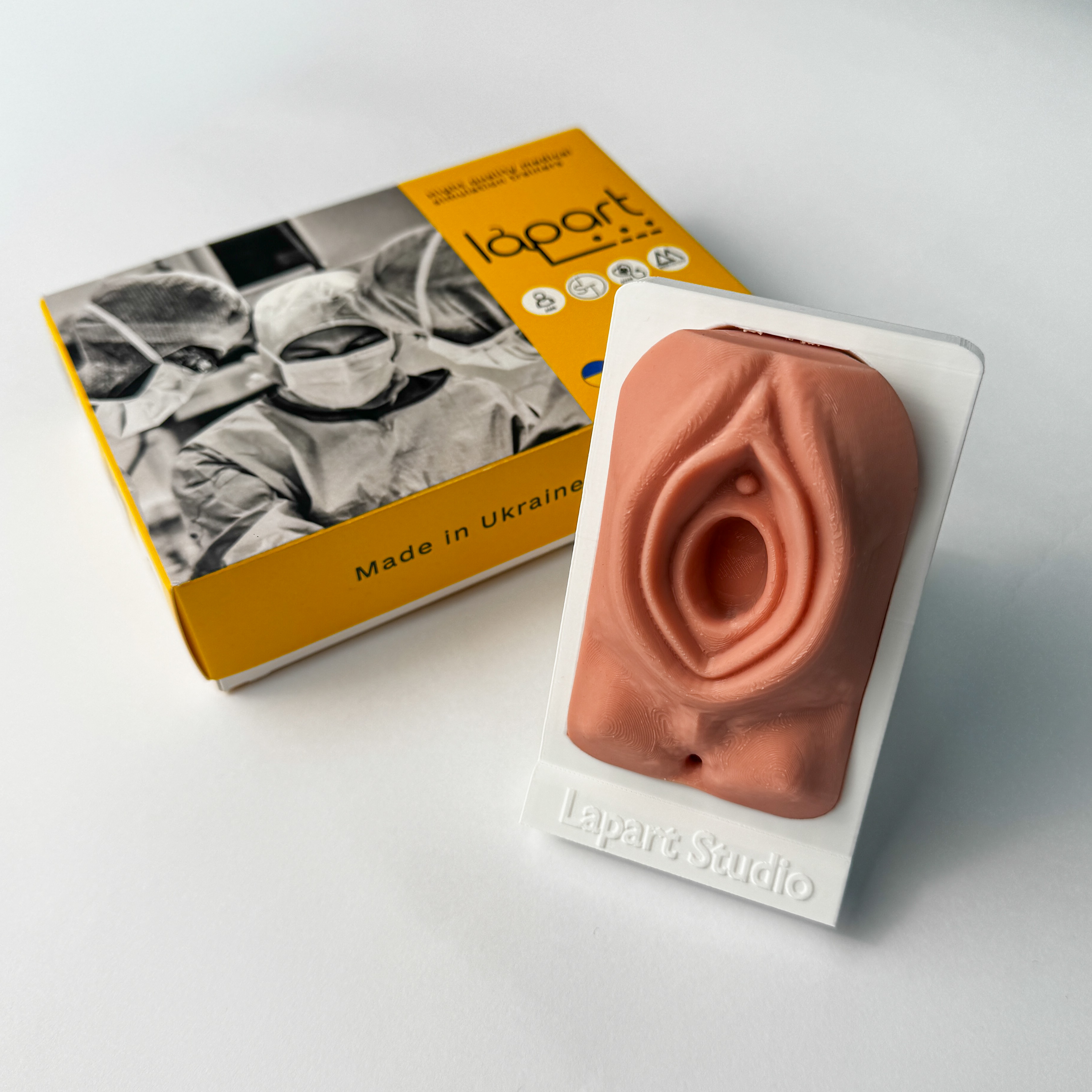 Тренажер «Епізіотомічна модель»