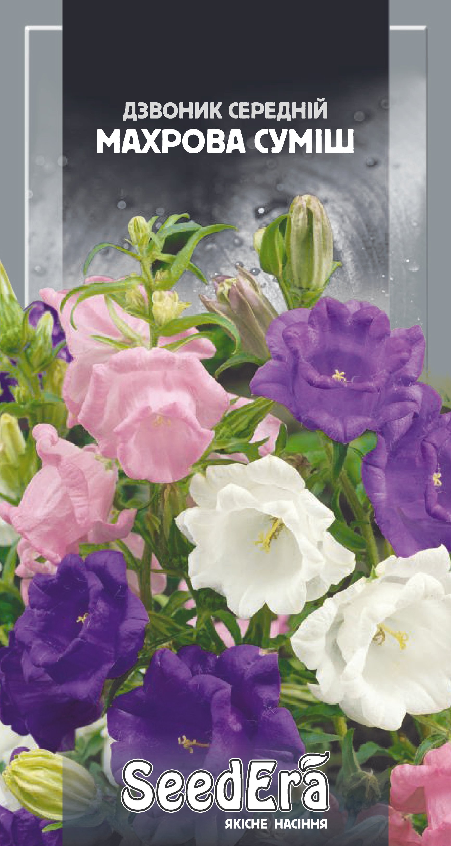 Насіння Квіти Дзвоник середній махрова суміш, 0,2 г