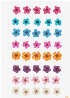 Little Plum ( 40 pcs pack )