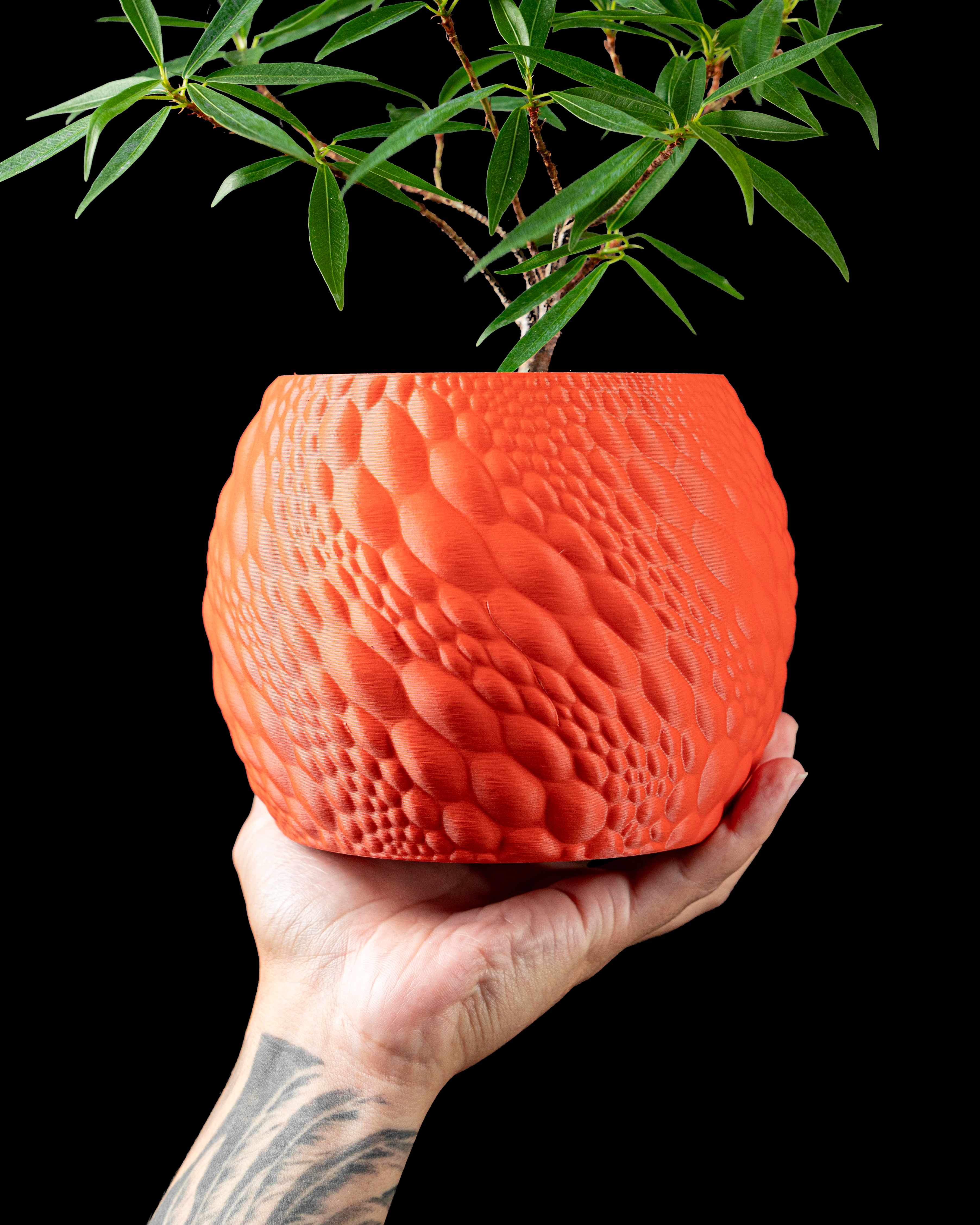 Gato Planter Pot – Modern 3D Printed Planter