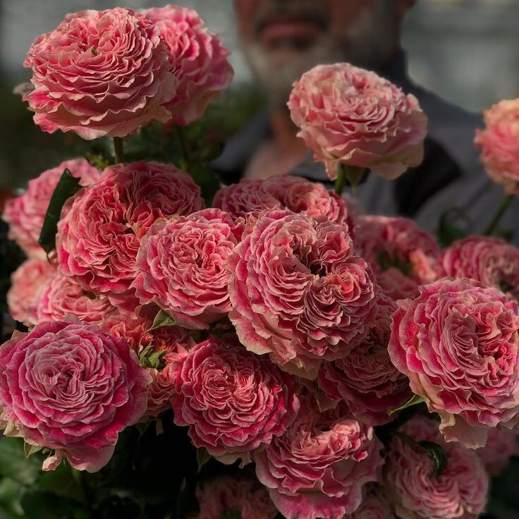 Piccadilly Circus - Пікаділлі Сьоркус