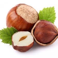 Фундук Барселонський