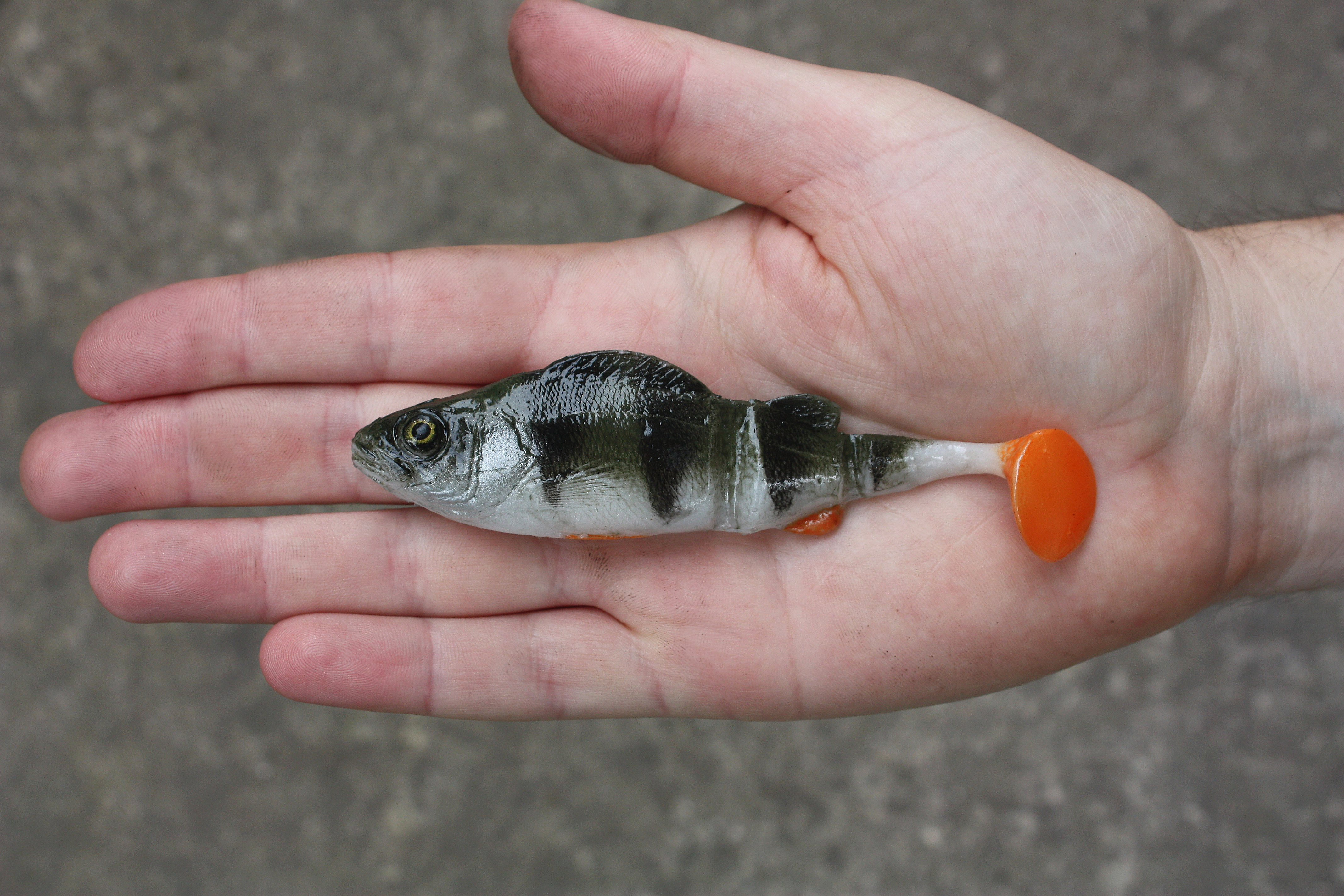 A&S Swim Perch 4.5