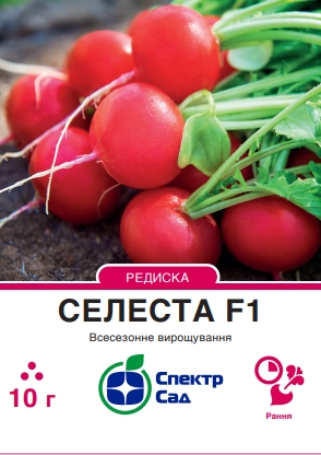 Редиска Селеста F1, 10 г