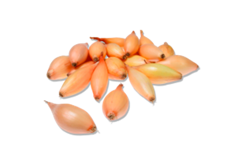 Цибуля-сіянка "Бірнформіге" (Birnformige / Bamberger) TOP ONION
