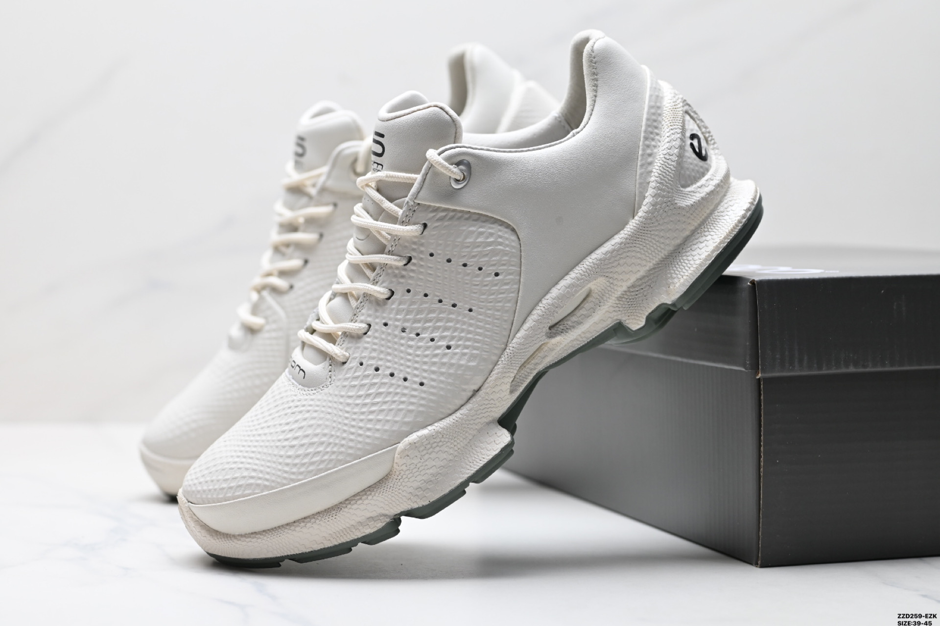 ECCO  Biom C M