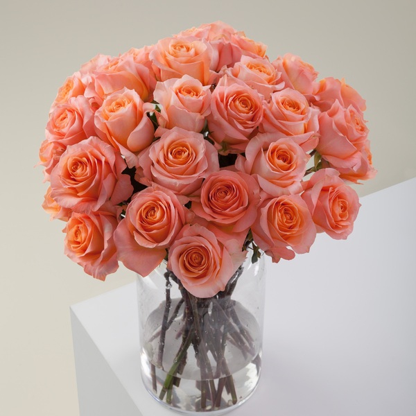 Корал Ріф — Coral Reef