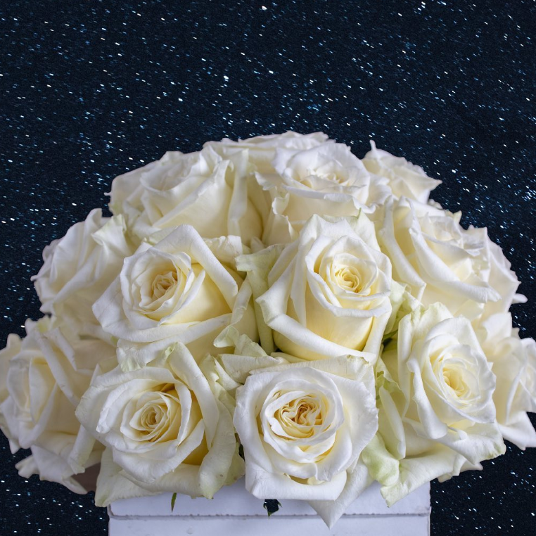 White Shimmer — Вайт Шімер ( Вайт Шиммер )