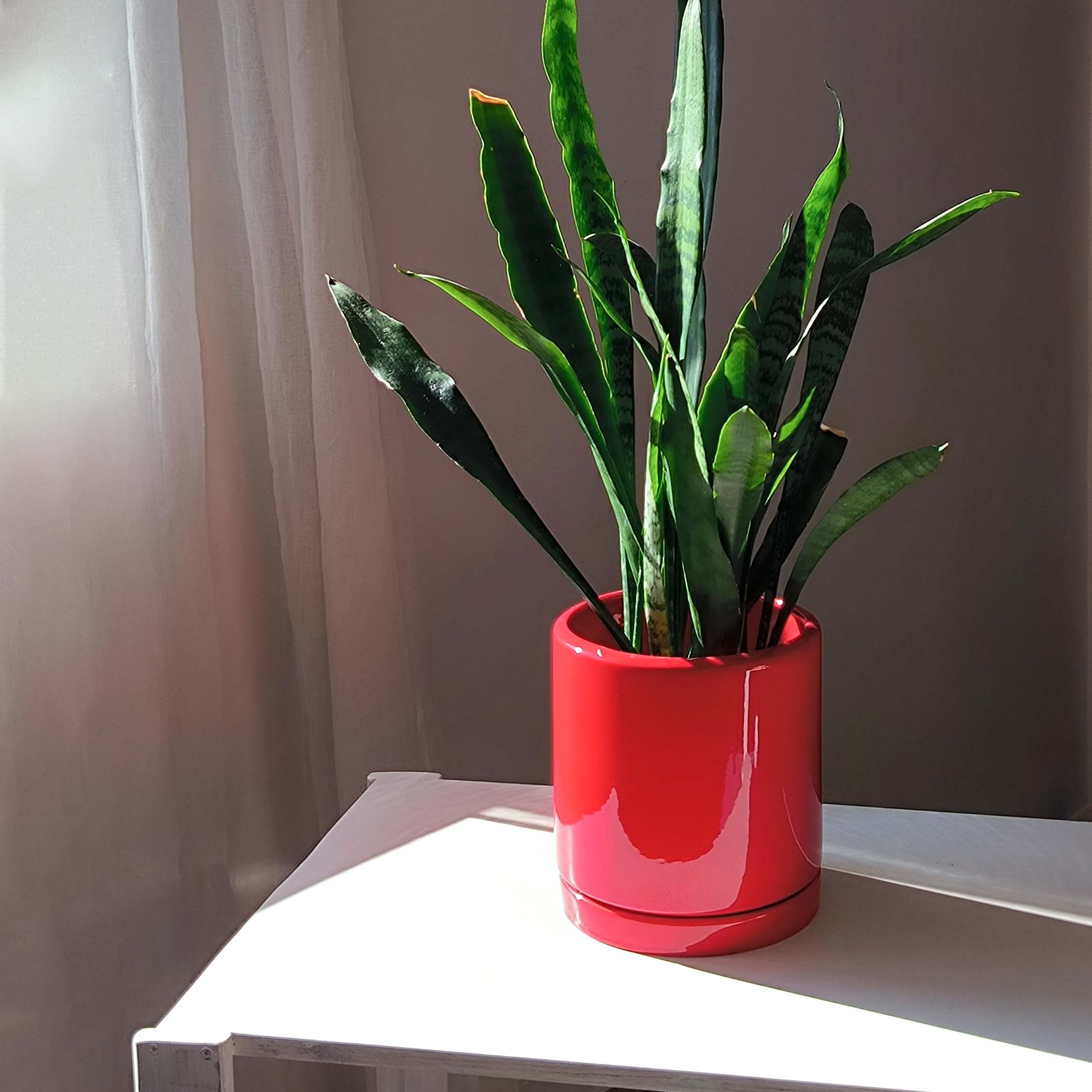 Горщик керамічний Цикорій 3,3 л Червоний p277