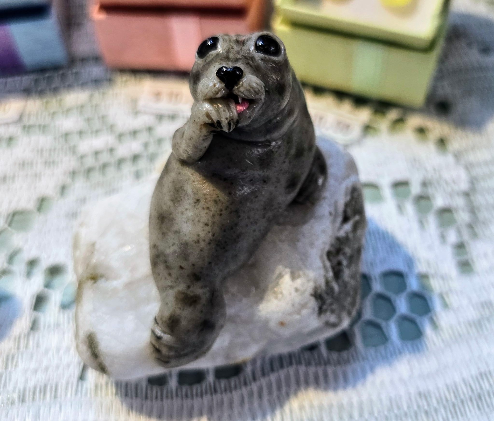Cute Seal