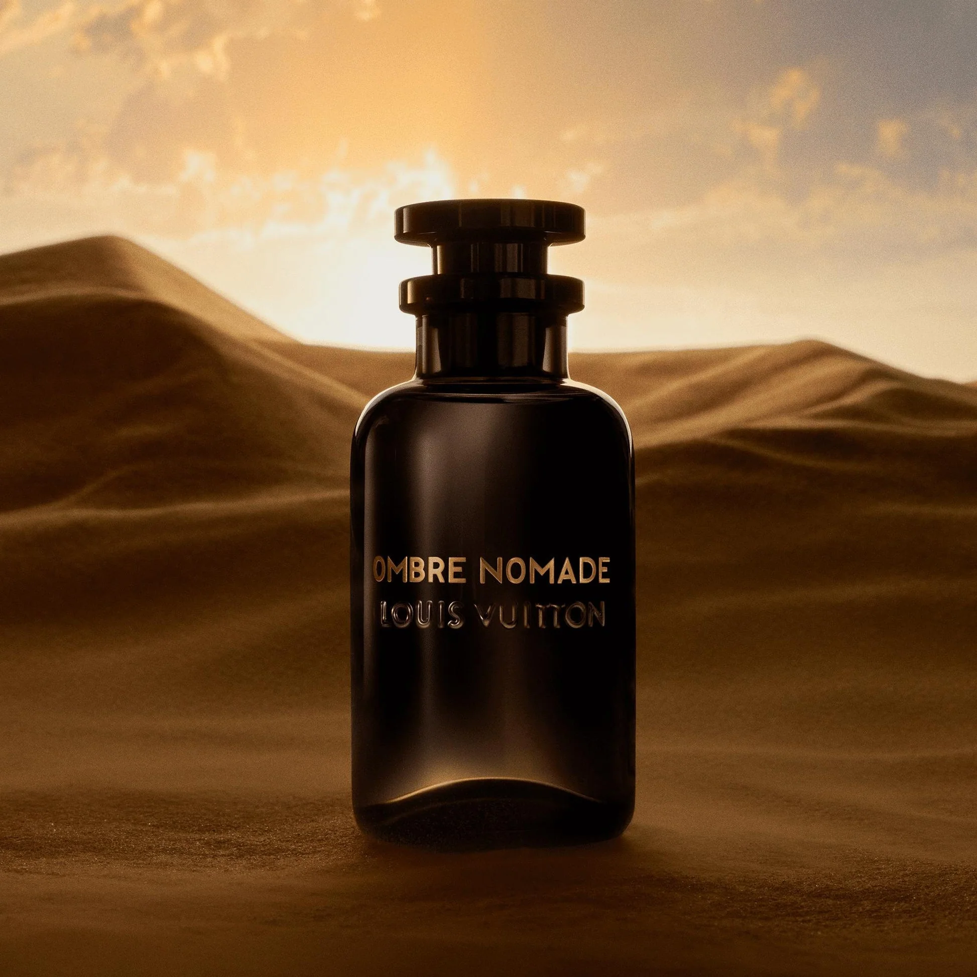 513	Альтернатива OMBRE NOMADE / LOUIS VUITTON