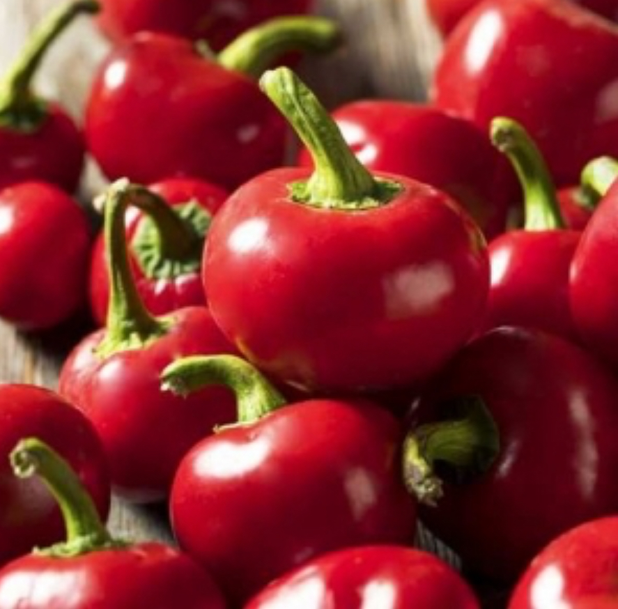 Перець гірки Каперіно Чилі
