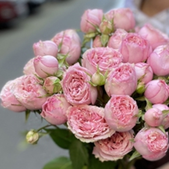 ПІНК БЛОССОМ (Pink Blossom) спрей