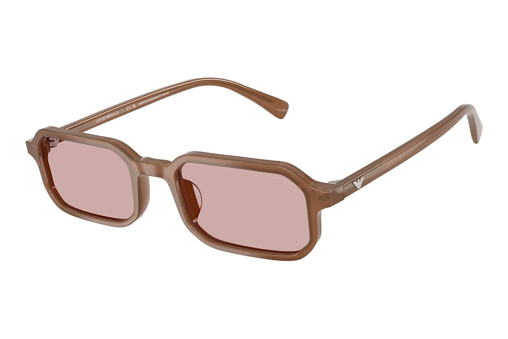 EMPORIO ARMANI   EA4253U 627173 54