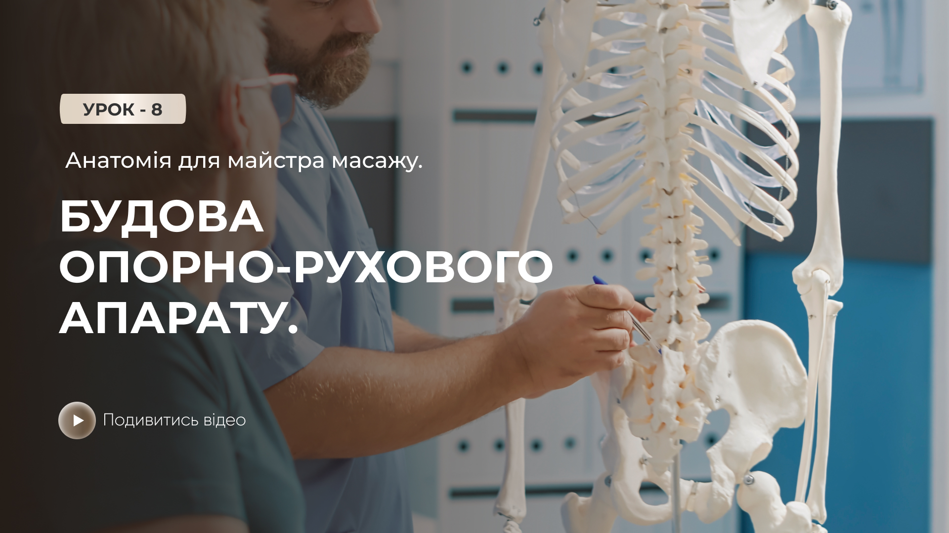 Онлайн-урок: Анатомія для майстра масажу. Будова опорно-рухового апарату