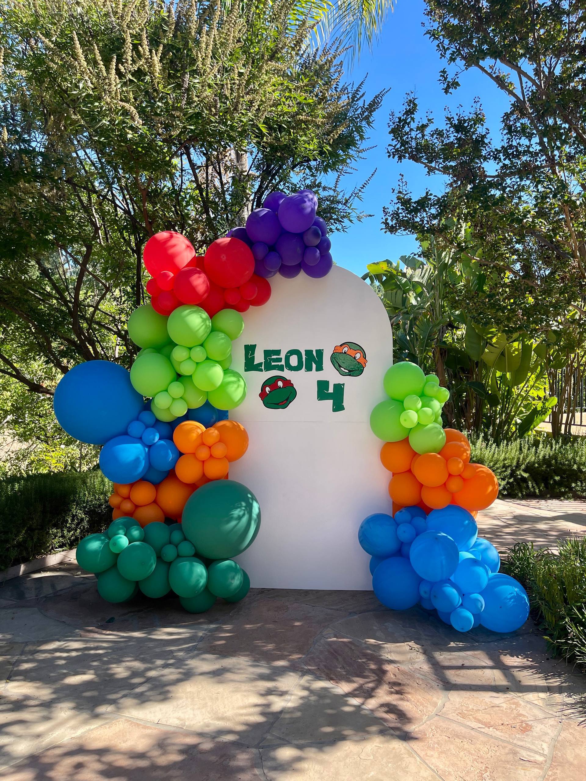 Teenage Mutant Ninja Turtles Birthday Backdrop