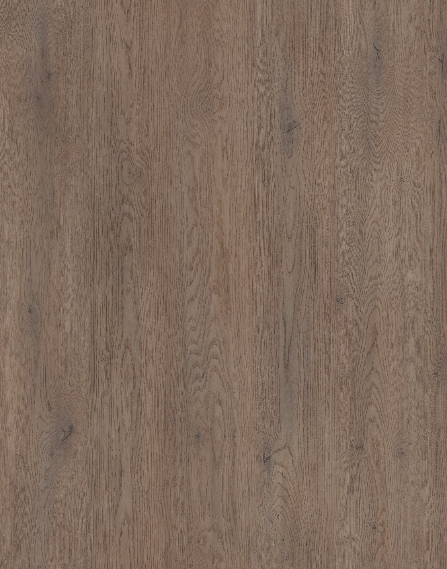 Дуб Кремона Канноло