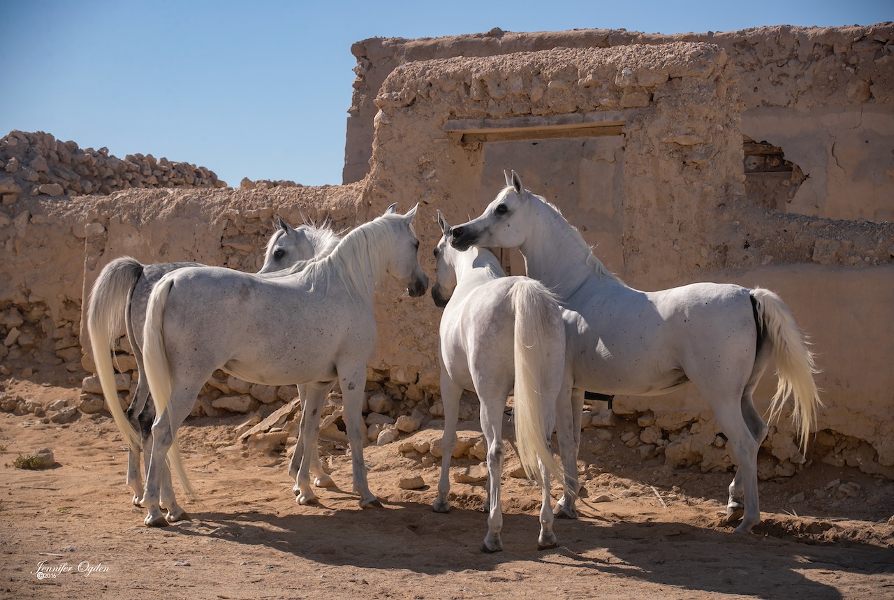 Al Jumail Village