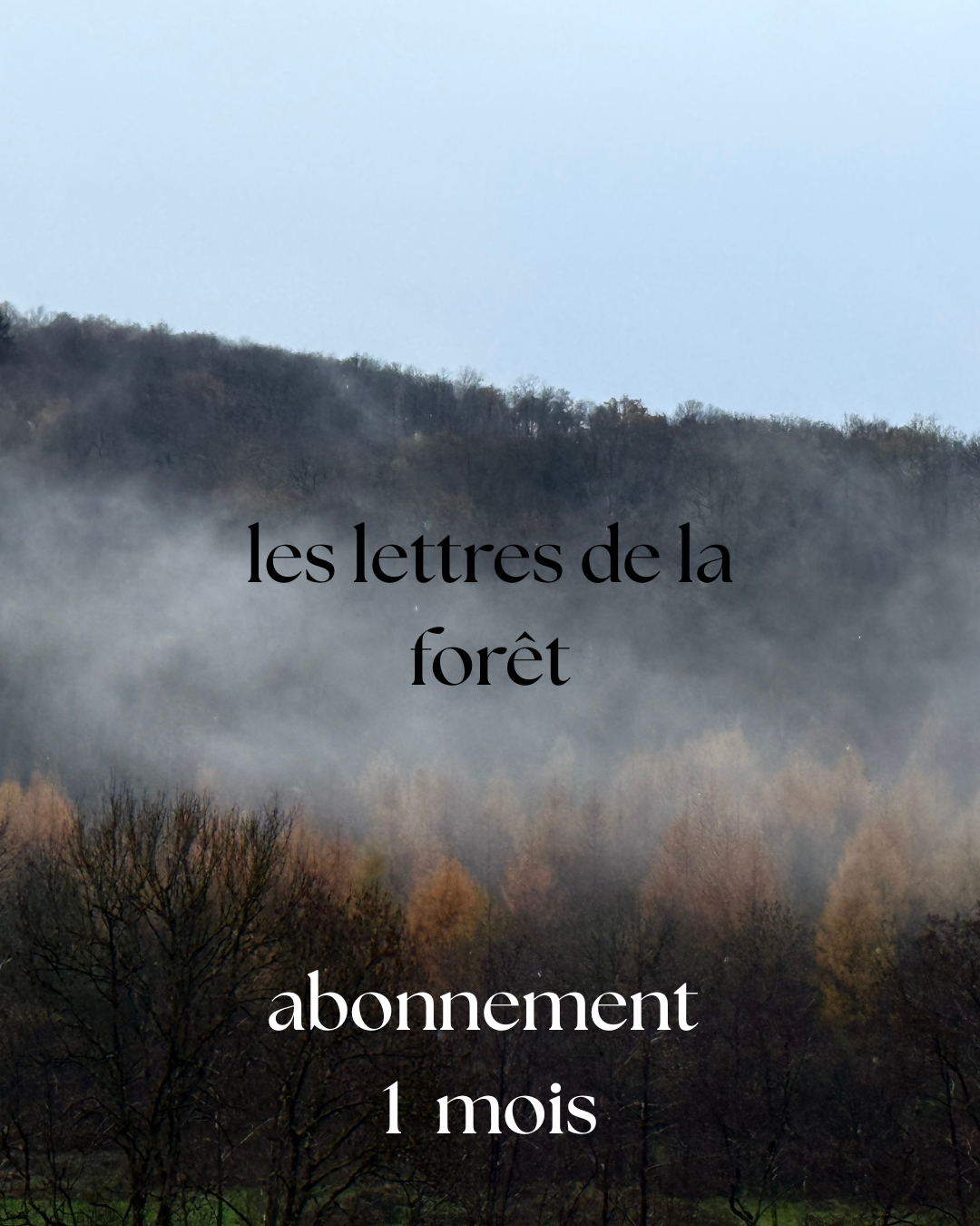 Les lettres de la forêt / Abonnement Mensuel