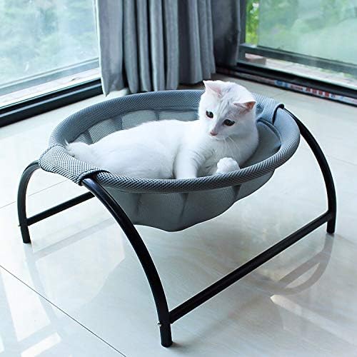 Pet Hammock