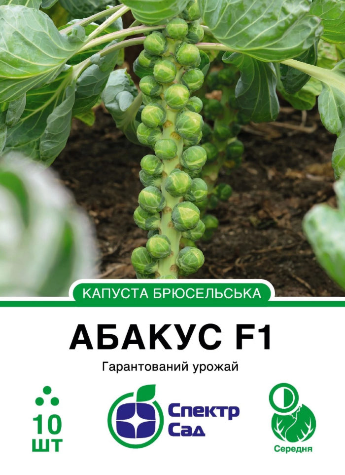 Брюссельська капуста Абакус F1, 10 шт