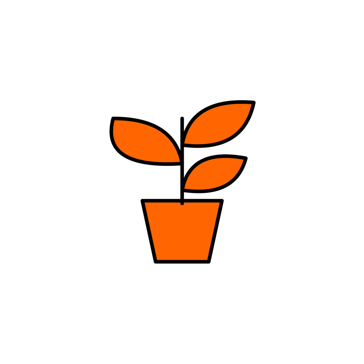 Grote kamerplant