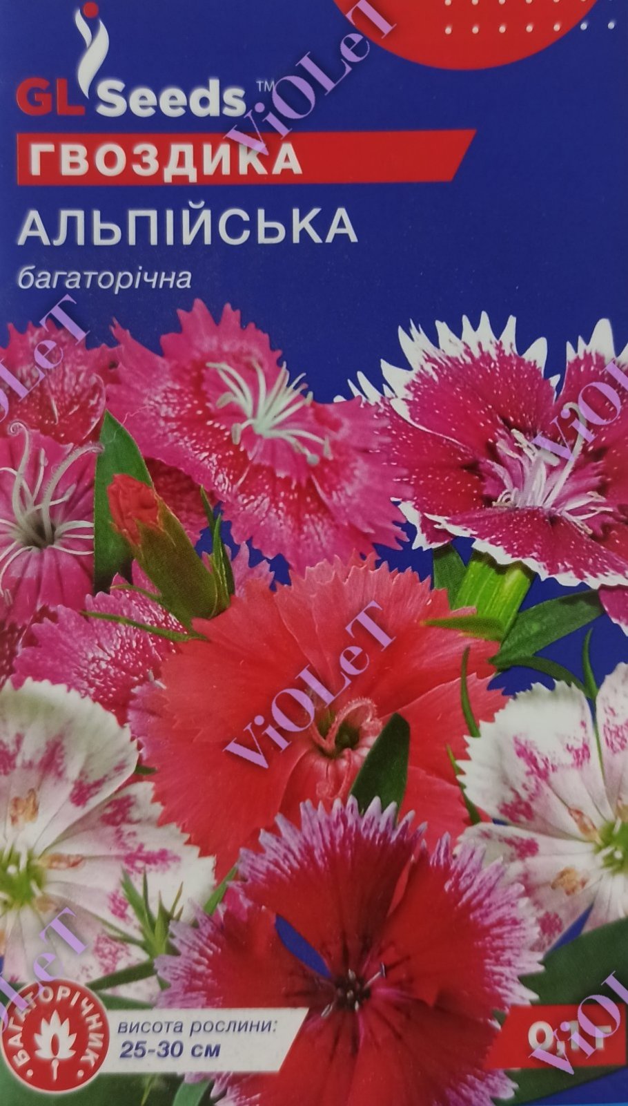 Гвоздика Альпійська багаторічна, 0,1 г GL Seeds