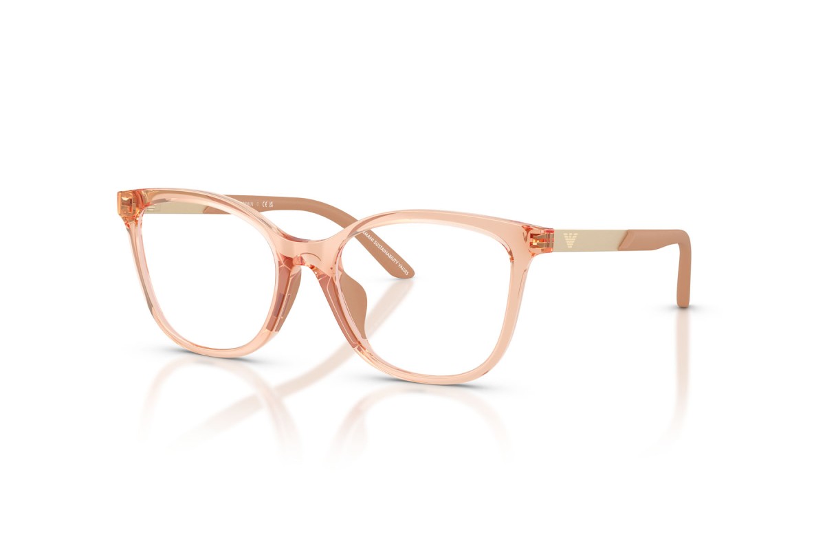EMPORIO ARMANI EK 3011U 6347 48