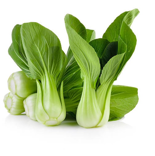CHOUX CHINOIS PAK-CHOI BIO 1KG