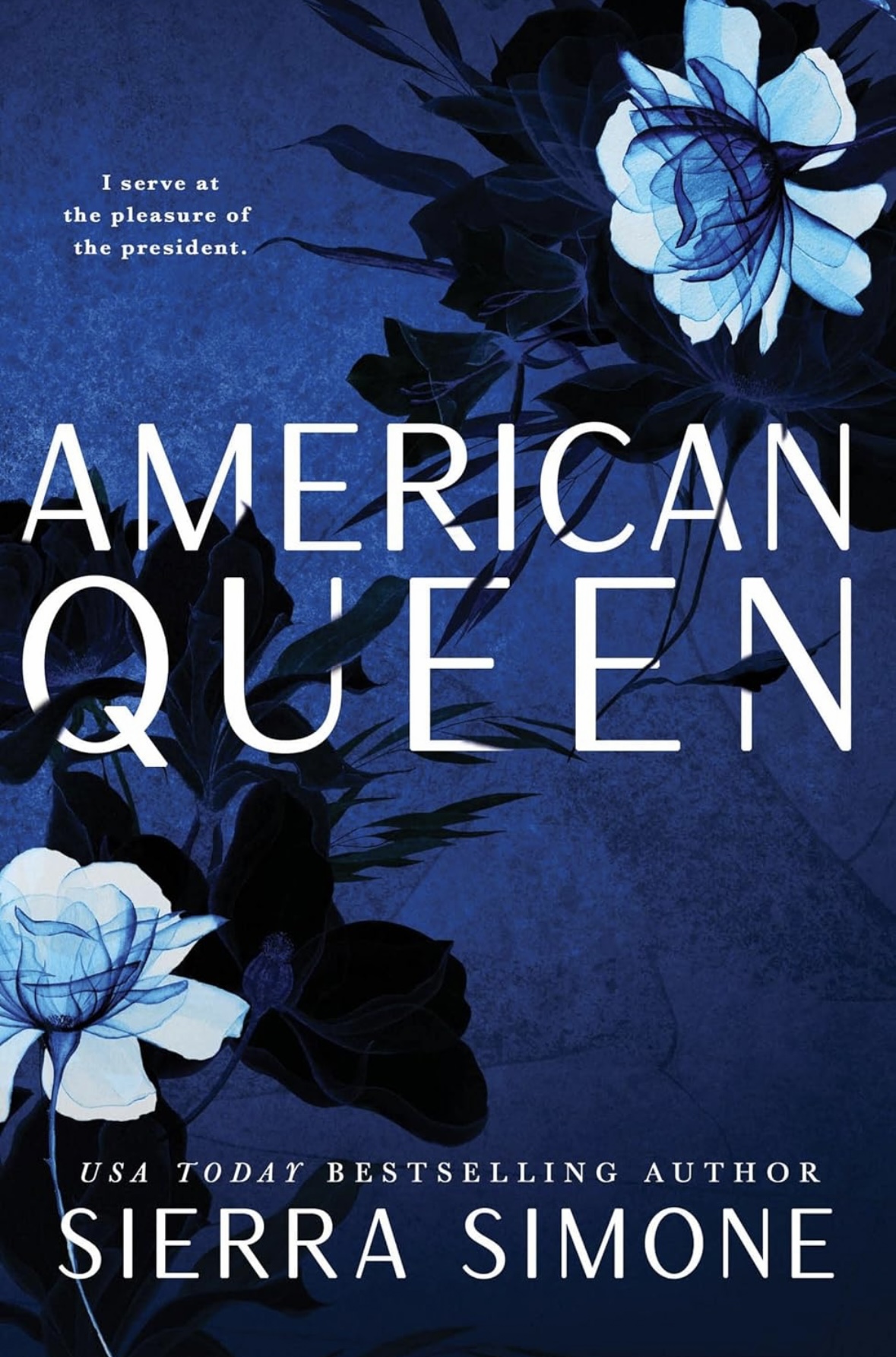 American Queen: A Steamy and Taboo BookTok Sensation: 1 (New Camelot, 1) Sierra Simone