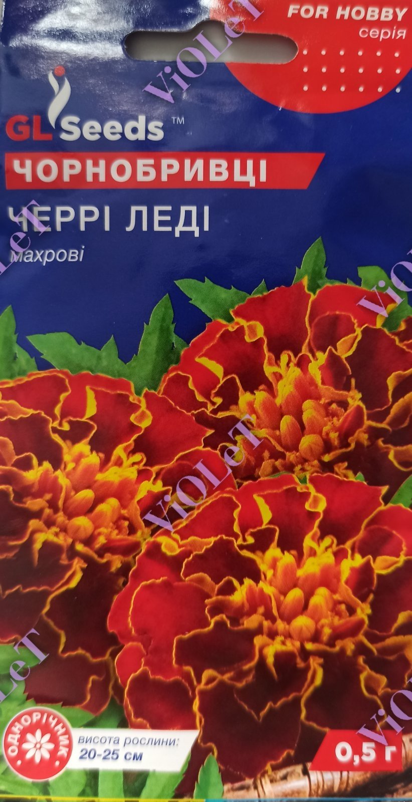 Чорнобривці Черрі Леді махрові низькі, 0,5 г, GL Seeds