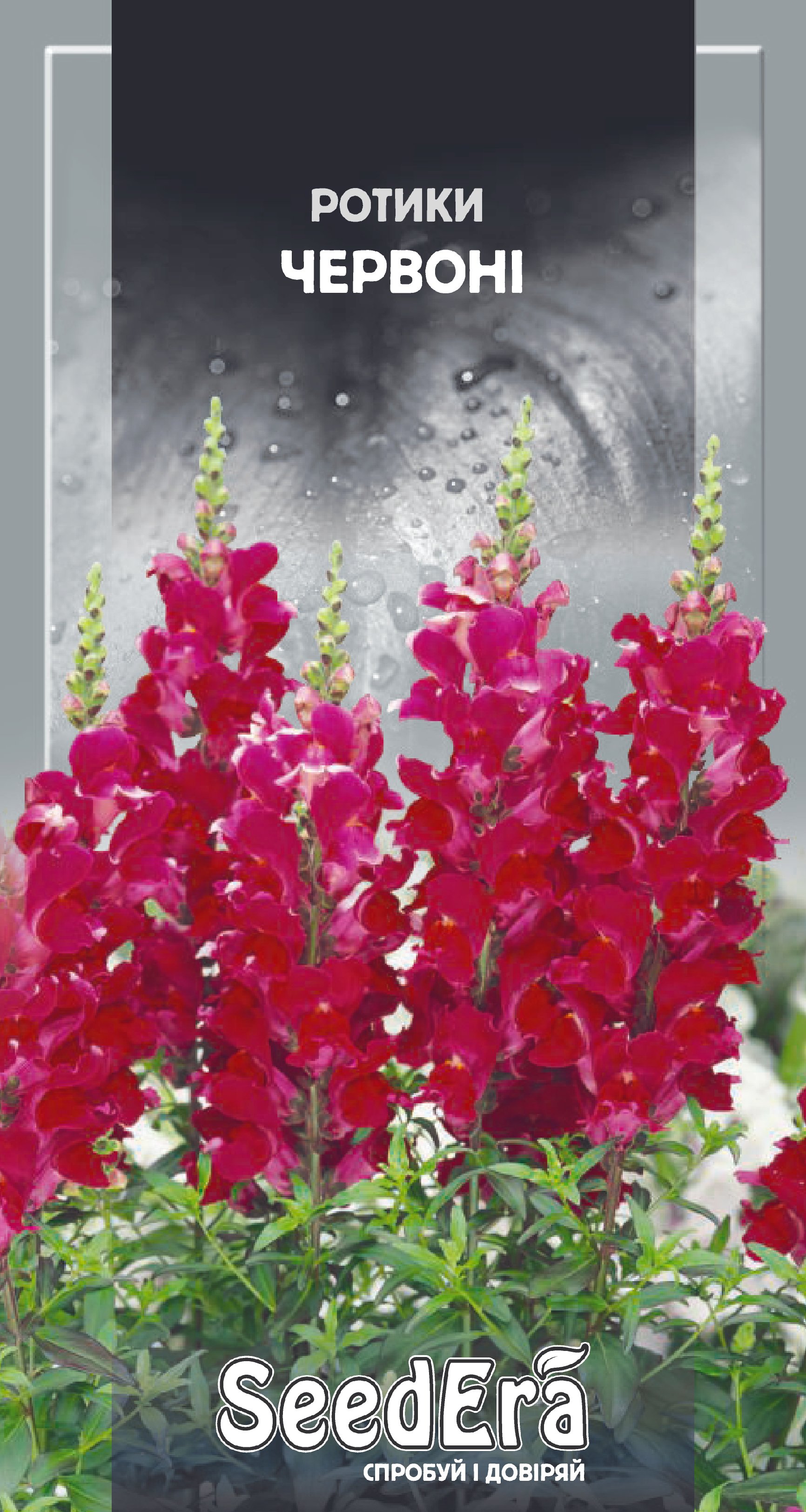 Насіння Квіти Ротики червоні, 0,2 г