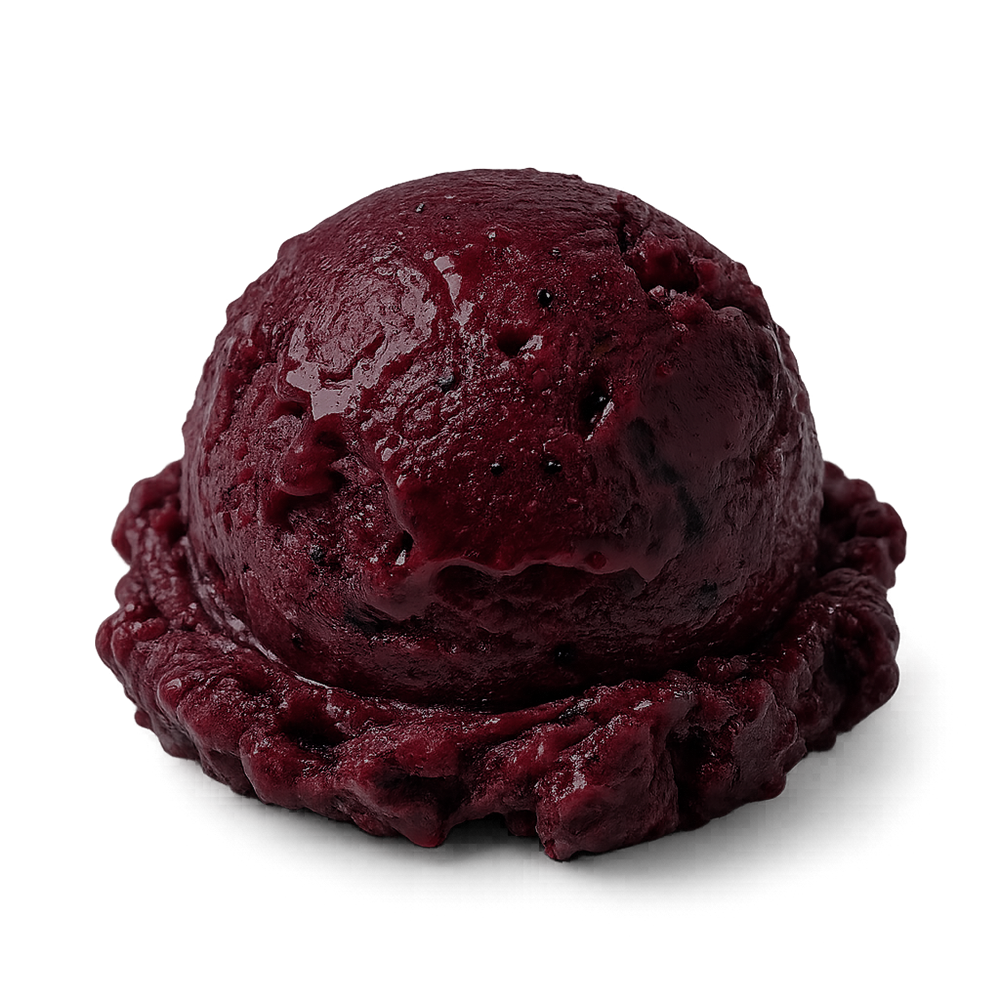 Лохина сорбет (100г)