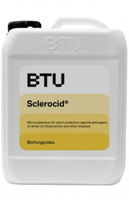 Sclerocid